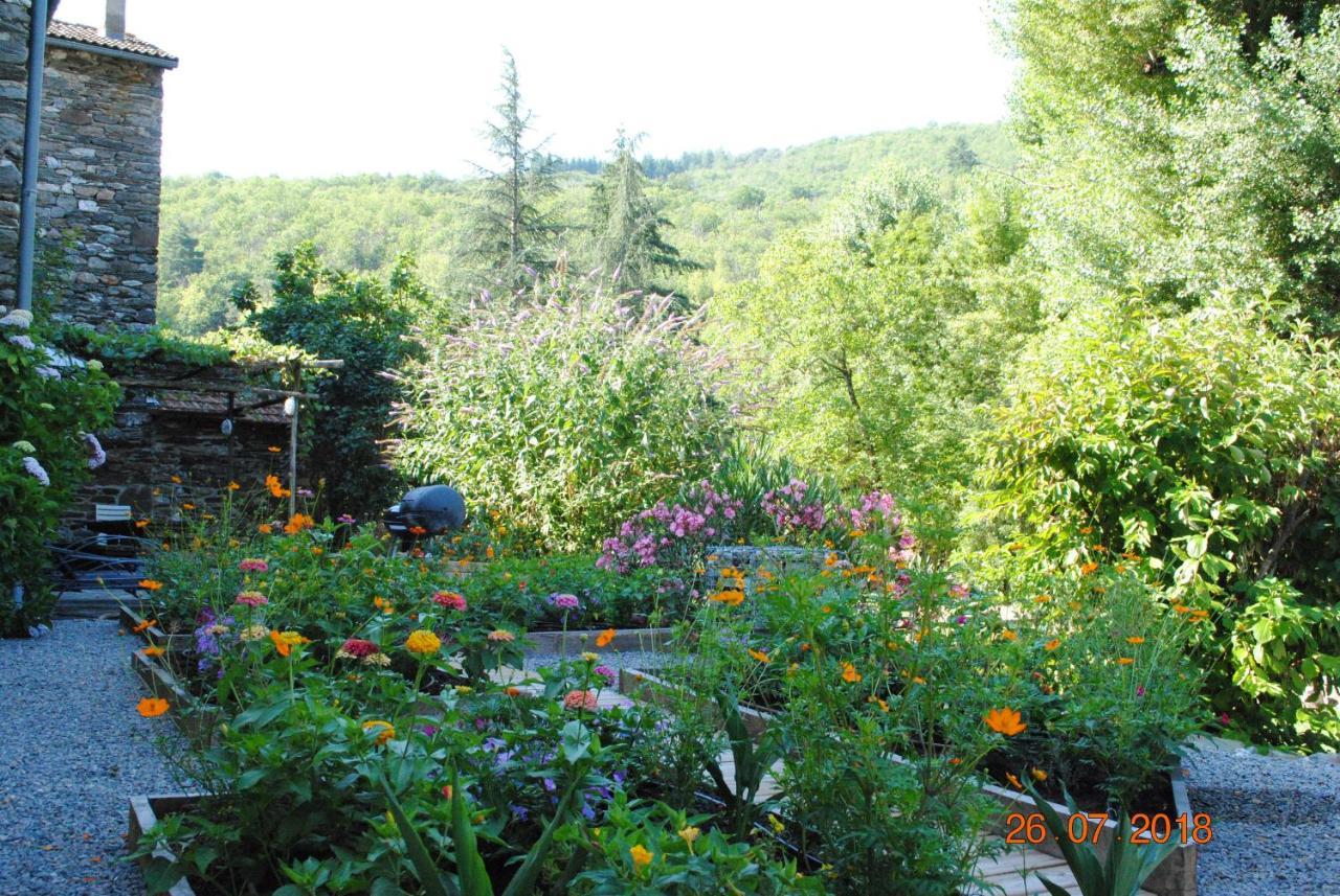 Alberguiere - Piscine Chauffee - Plancha - Barbecue Sainte-Croix-Vallee-Francaise Buitenkant foto