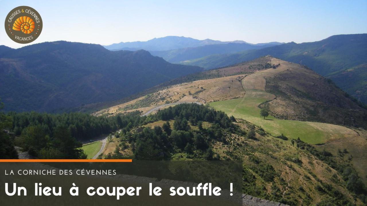 Alberguiere - Piscine Chauffee - Plancha - Barbecue Sainte-Croix-Vallee-Francaise Buitenkant foto